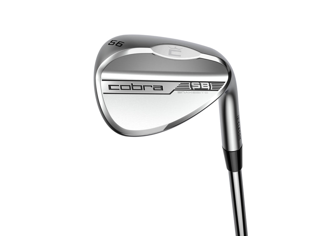 Cobra Snakebite