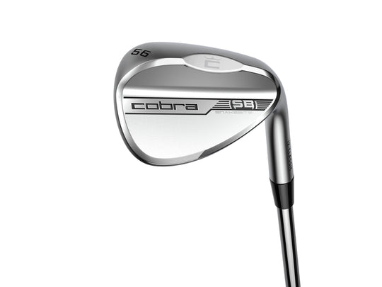 Cobra Snakebite