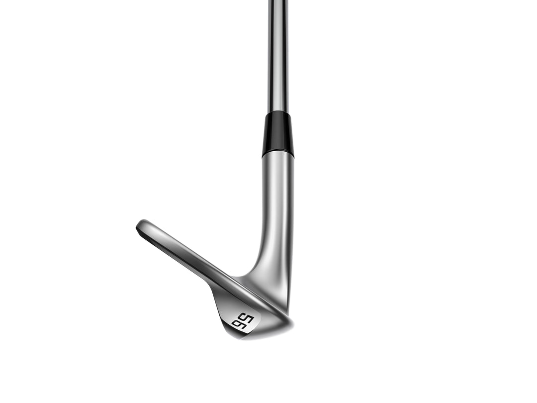 Cobra Snakebite