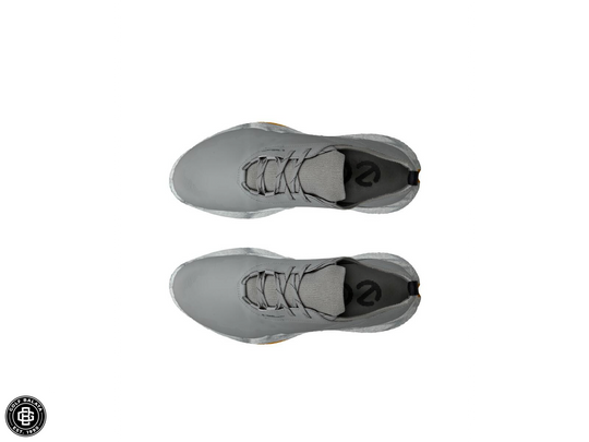 Ecco Men´s Biom H5