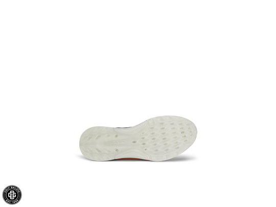 Ecco Men´s Biom C4