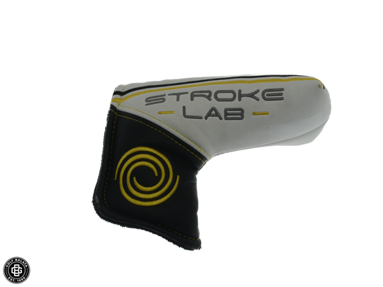 Odyssey Stroke Lab 9