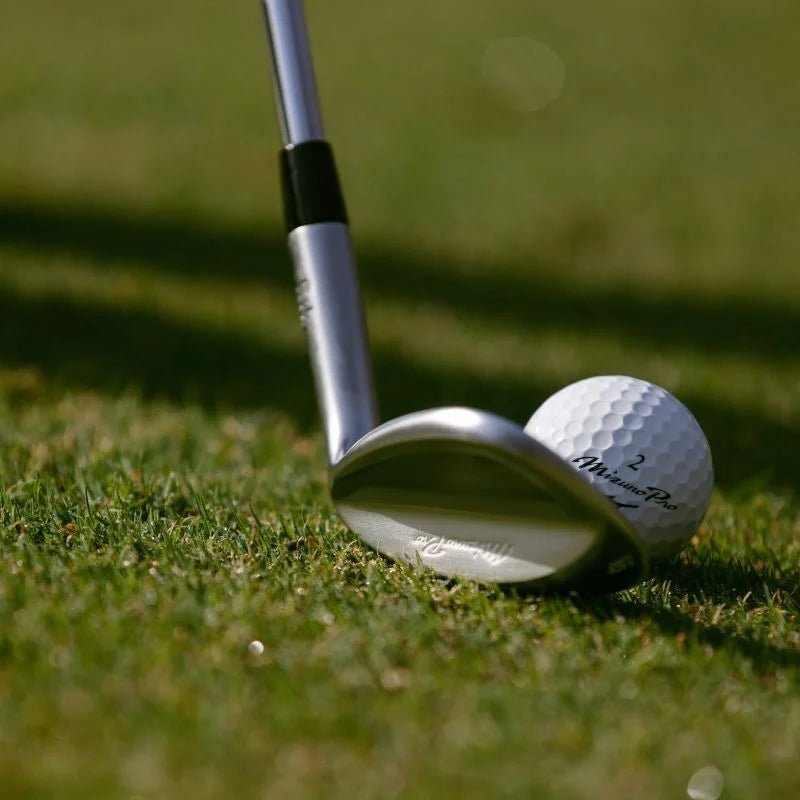 Mizuno Pro T-1 White Satin