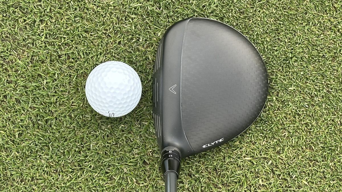 Henrik Stenson väyläpuun kanssa ladulla