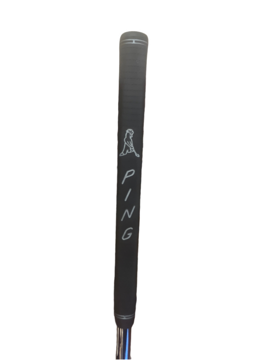 Ping PLD DS72