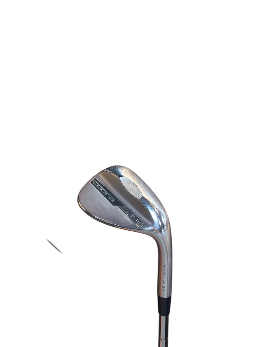 Cobra Cobra Snakebite