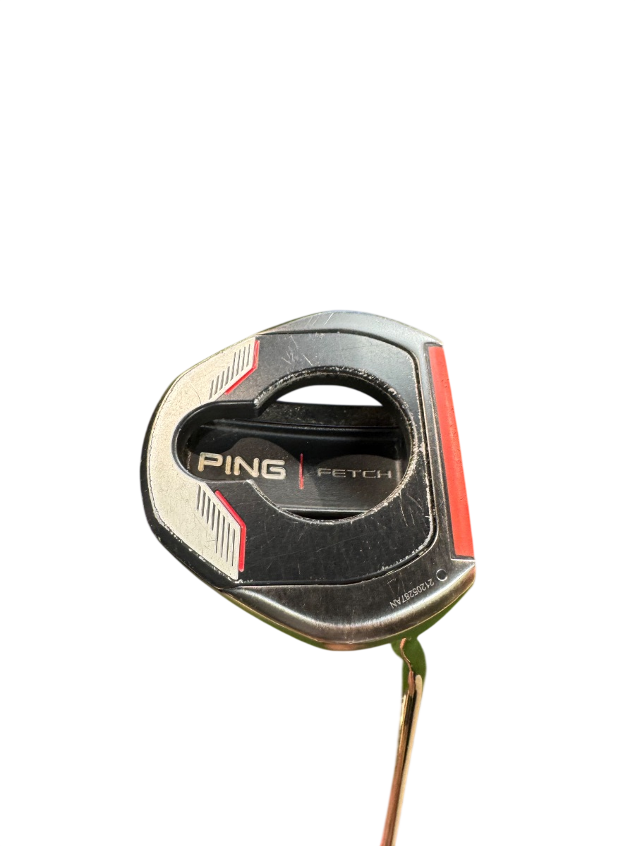 Ping Ping FETCH