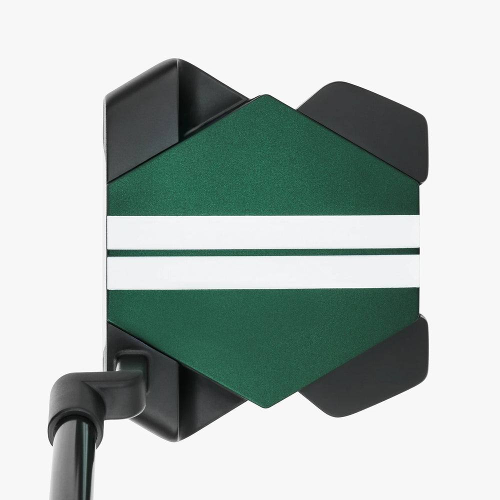 Odyssey Turtle CH