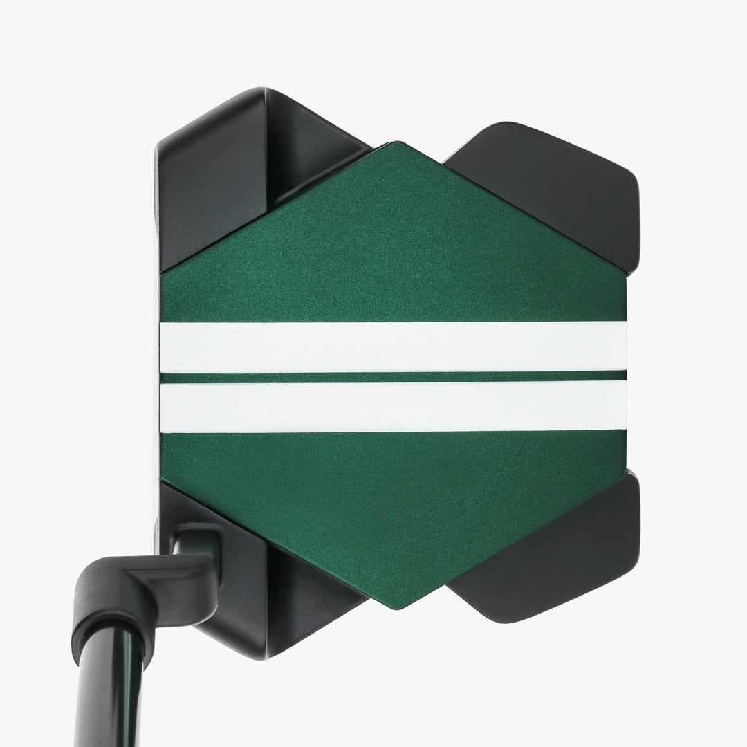 Odyssey Turtle CH