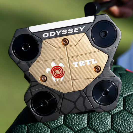 Odyssey Turtle CH
