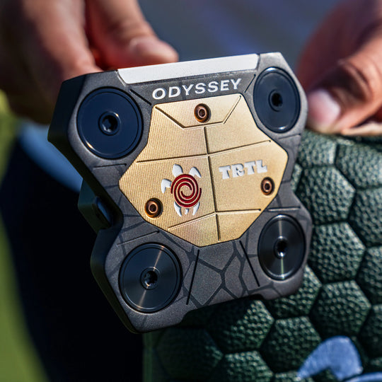 Odyssey Turtle DB