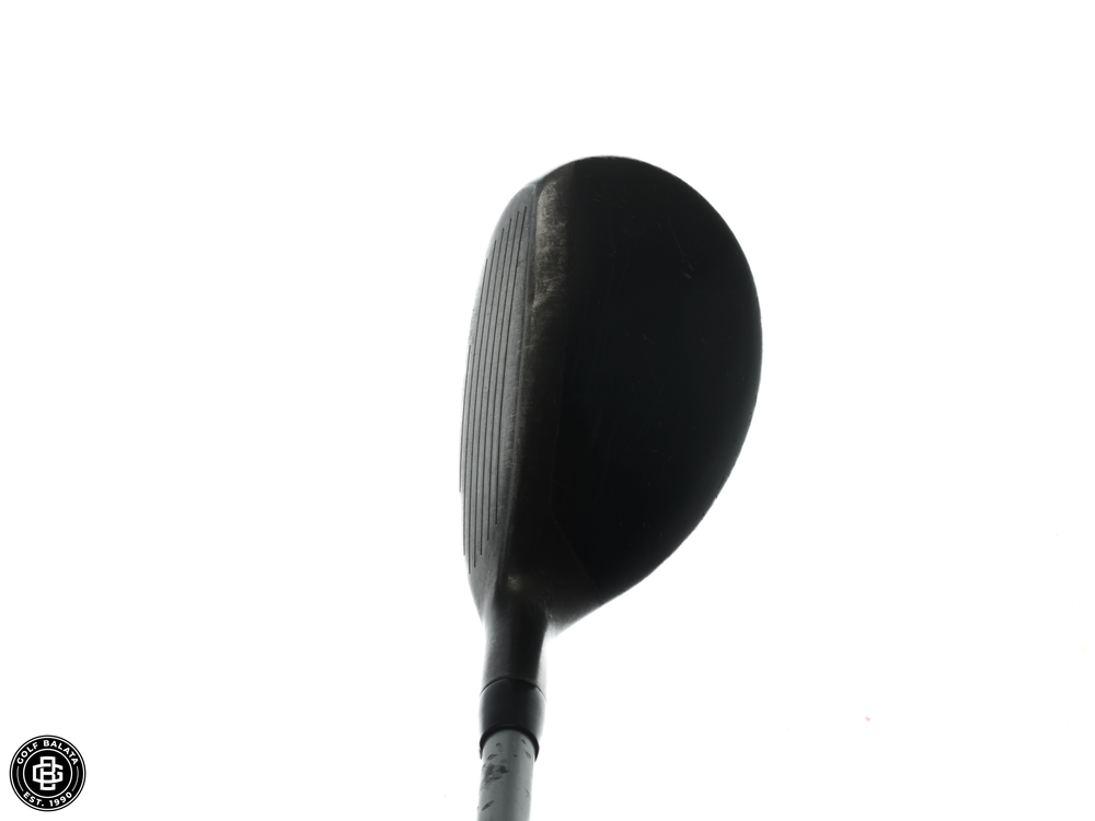 Ping Anser 4/23