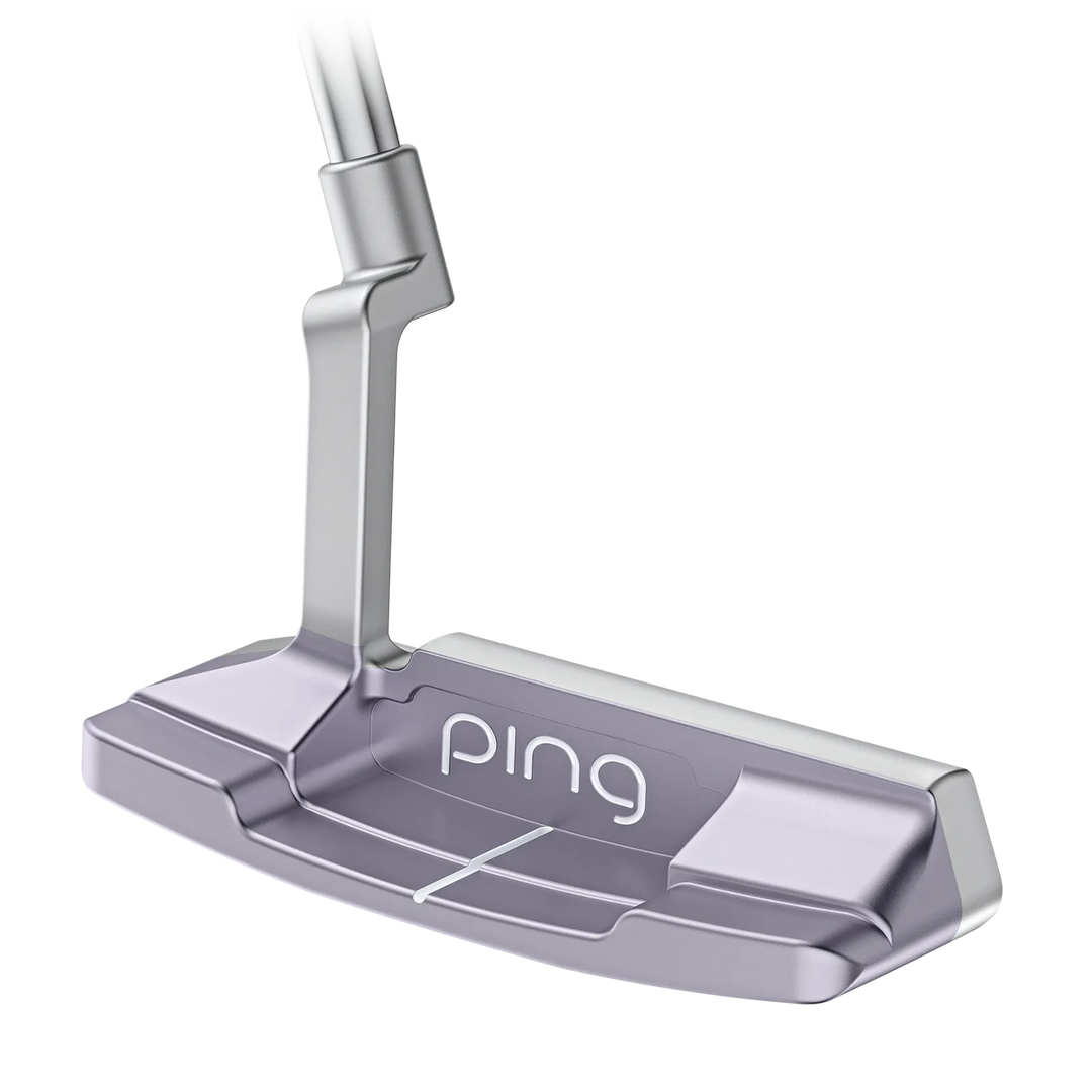 Ping GLe 4 Anser 2D