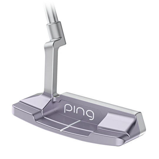 Ping GLe 4 Anser 2D