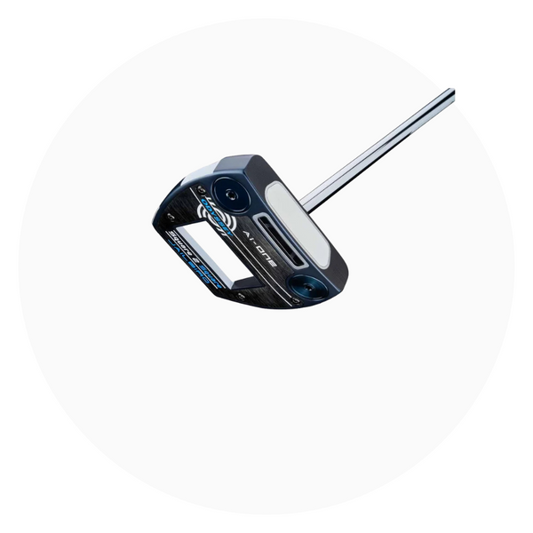 Putterit