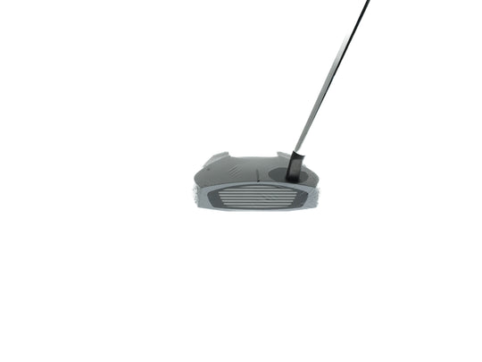 TaylorMade Spider GT Silver