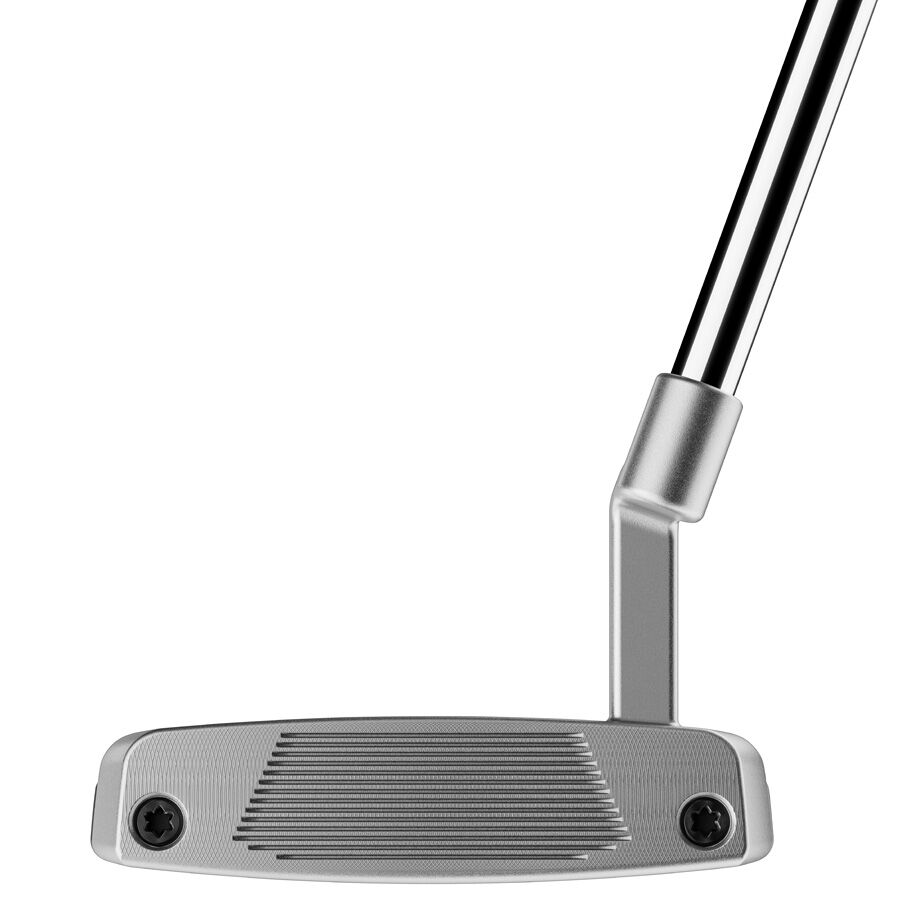 Taylormade SYSTM2 Brandon L-Neck