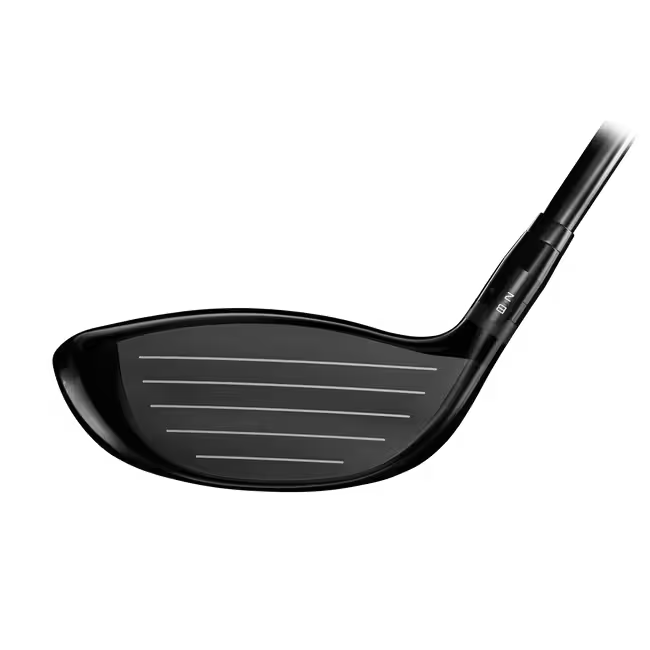 Titleist GTS 300 Mini Driver