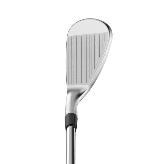 Wilson Staff Model