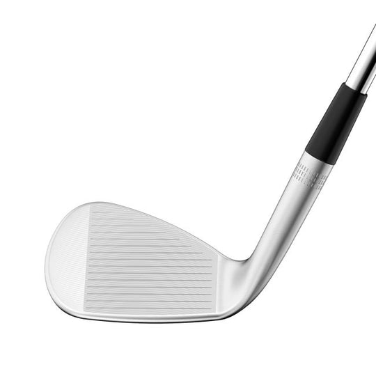 Wilson Staff Model