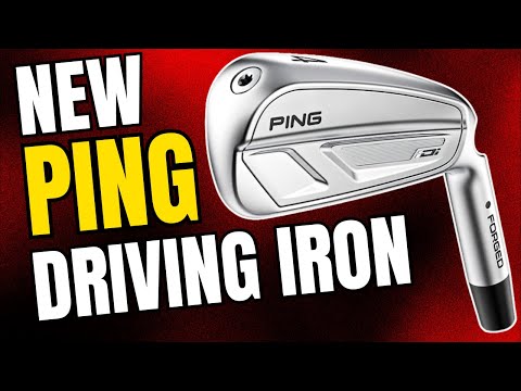 Ping iDi