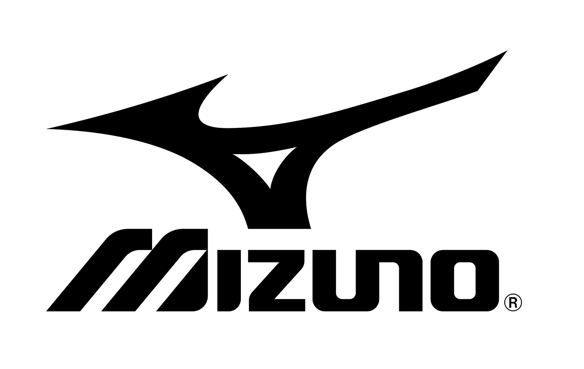 Mizuno logo